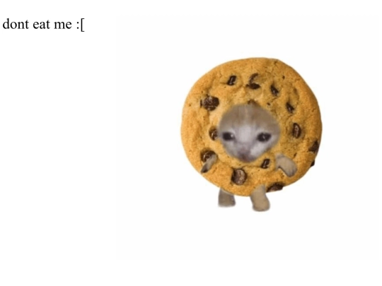 cookie screenshot