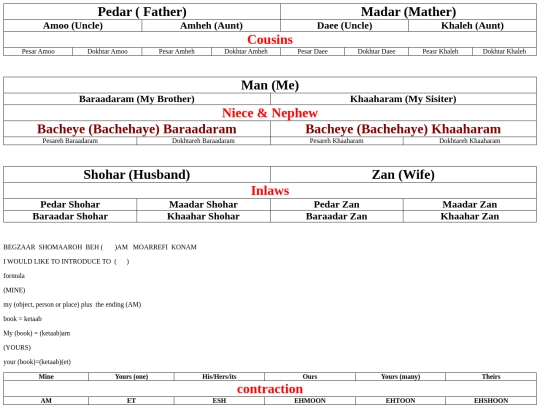 cin/persian screenshot