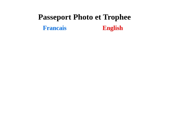 ppt screenshot