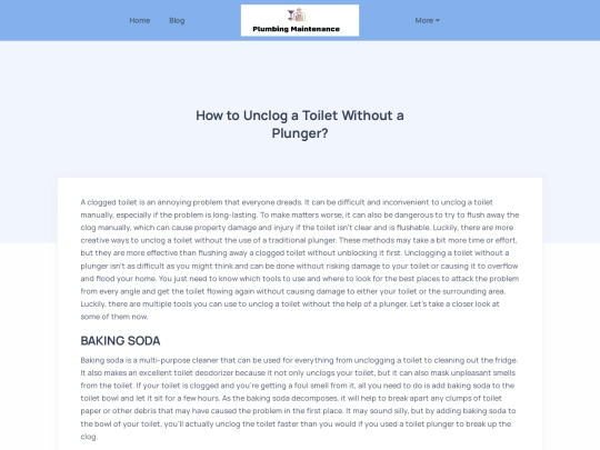 blog/how-to-unclog-a-toilet-without-a-plunger screenshot