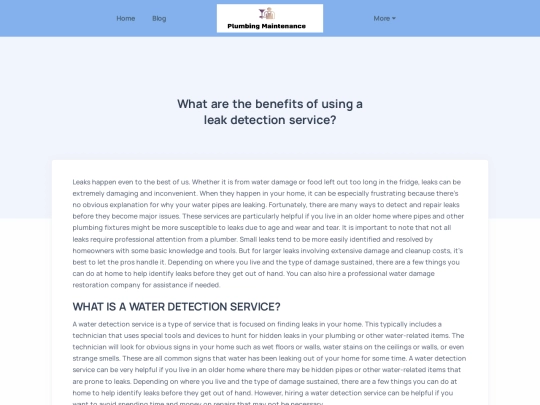 blog/what-are-the-benefits-of-using-a-leak-detection-service screenshot