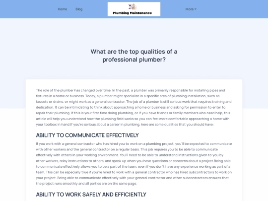 blog/what-are-the-top-qualities-of-a-professional-plumber screenshot
