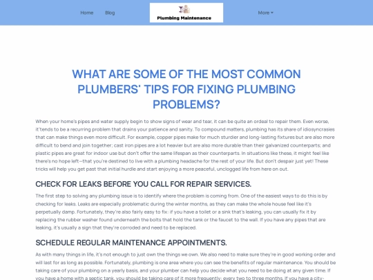 what-are-some-of-the-most-common-plumbers-tips-for-fixing-plumbing-problems screenshot