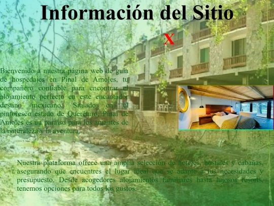 html/info screenshot