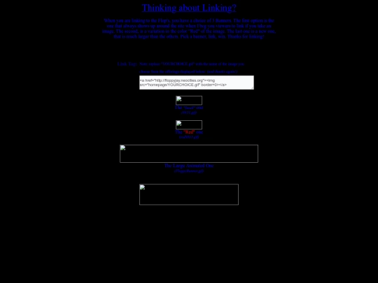 link2flop screenshot