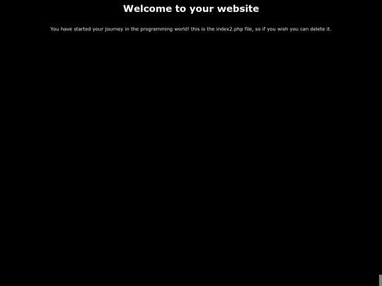 website2 screenshot
