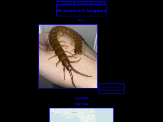 longipes screenshot