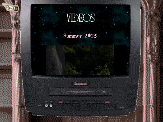 video-gallery screenshot