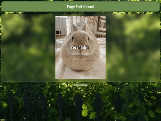 not_found screenshot