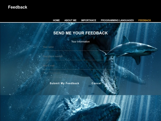 feedback screenshot