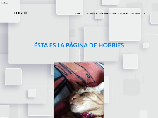 pages/hobbies screenshot