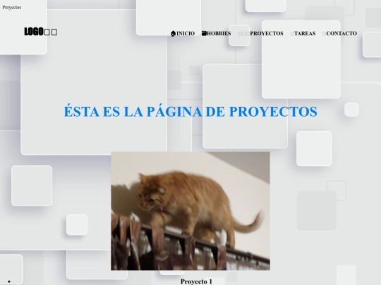 pages/proyectos screenshot