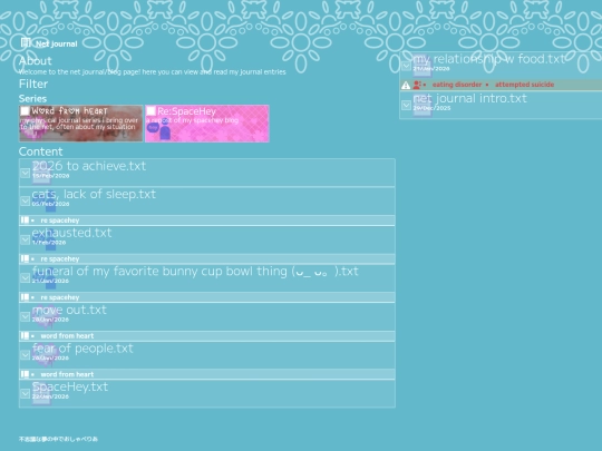 applications/common/net journal screenshot