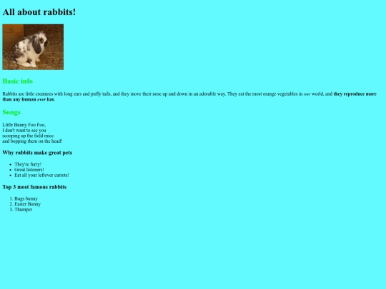 index screenshot