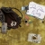 The web site of poorpicturequality avatar