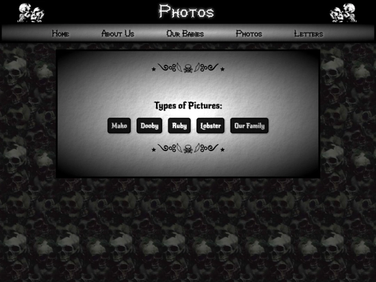photos screenshot
