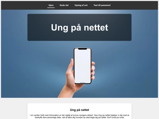 Sikkerhed screenshot