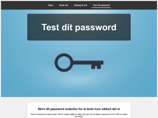 Sikkerhed/test screenshot