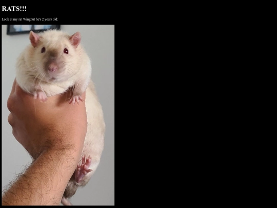 ratties screenshot