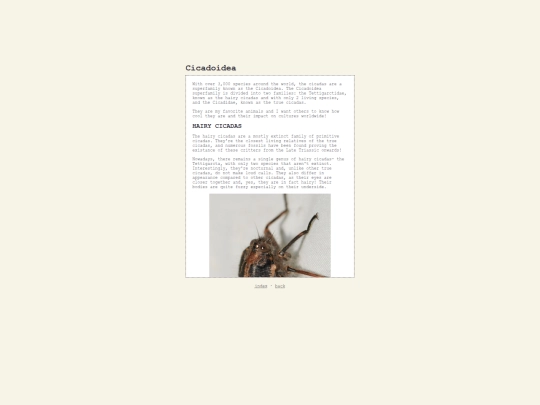 odds/cicadoidea screenshot