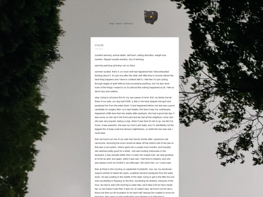13 screenshot