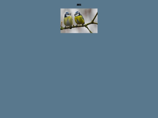 Proyectofinal/aves screenshot