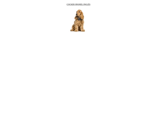Proyectofinal/mamiferoscocker screenshot
