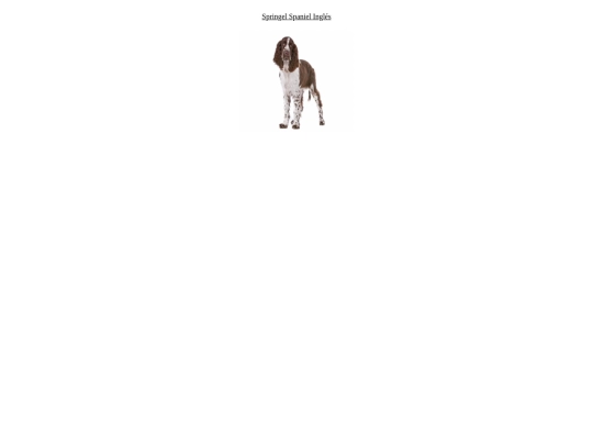Proyectofinal/mamiferosspaniel screenshot