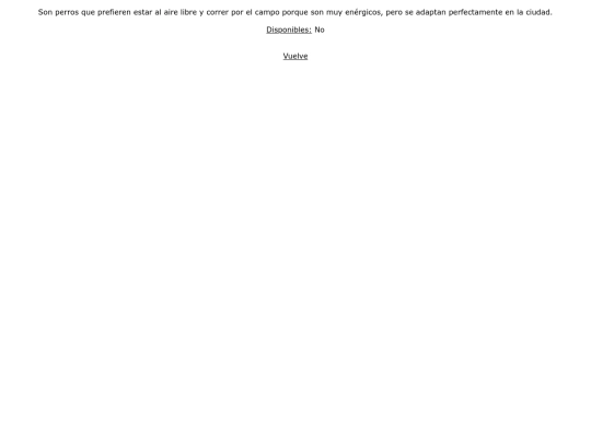 Proyectofinal/mamiferosspaniel1 screenshot