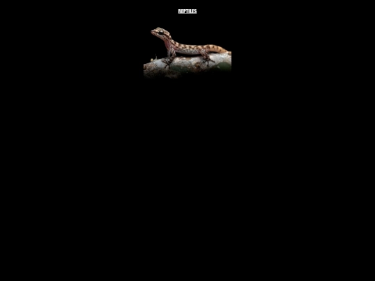 Proyectofinal/reptiles screenshot