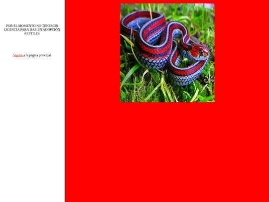 Proyectofinal/reptilesframe screenshot