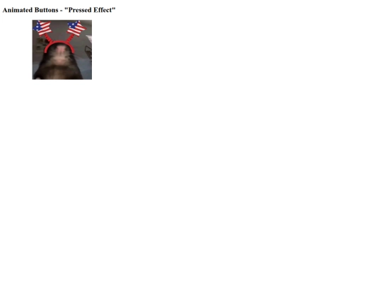 button screenshot