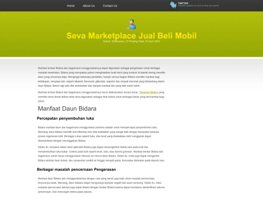 manfaat-daun-bidara screenshot