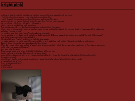 sections/identity/bright_pink screenshot