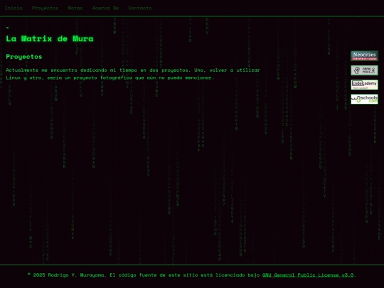 pages/proyectos screenshot