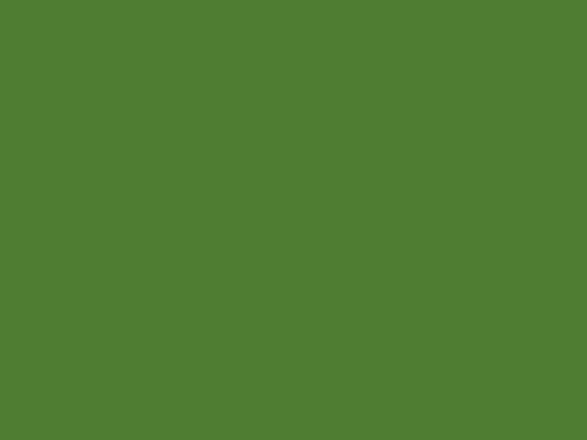 Practica9/verde screenshot