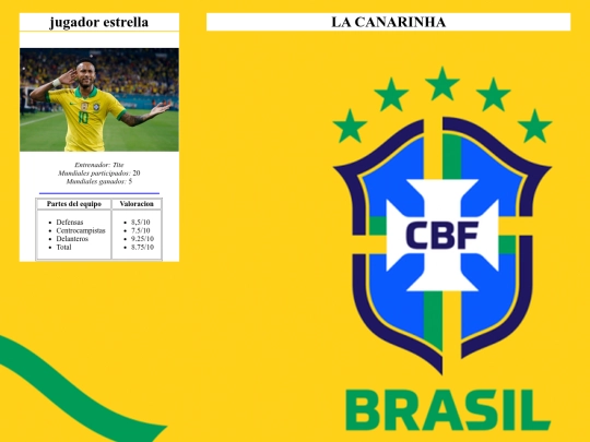 Qatar2022/Brasil screenshot