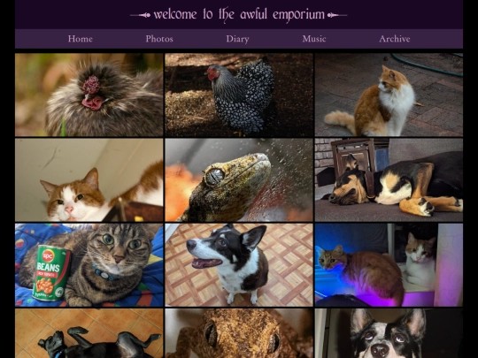 gallery screenshot
