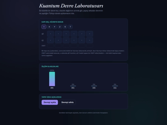 kuantumdevrelab screenshot