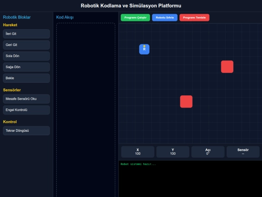 profesyonelrobotikkodlamaplatformu screenshot