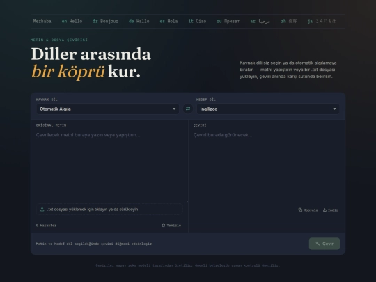 translation screenshot
