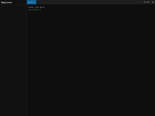 windowsterminalcyberlabedition screenshot