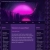 The web site of letsunpackthat avatar