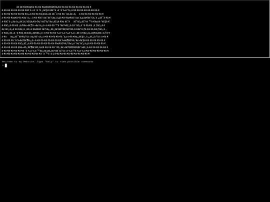 console/console screenshot