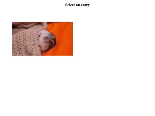 select screenshot
