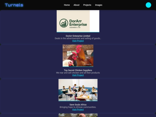 projects screenshot