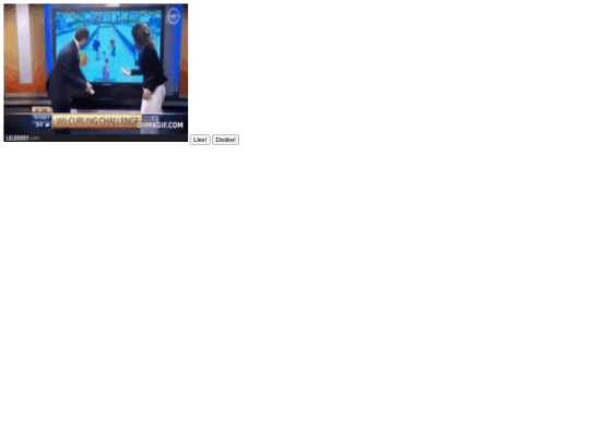video1 screenshot