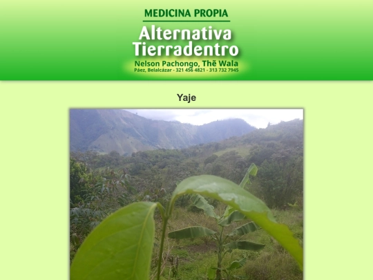 plantas/yaje screenshot