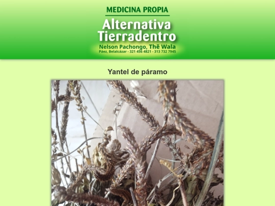 plantas/yantel-de-páramo screenshot