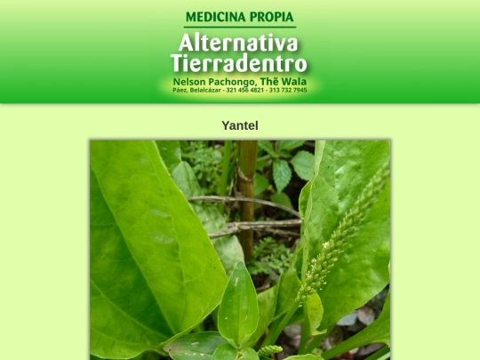 plantas/yantel screenshot